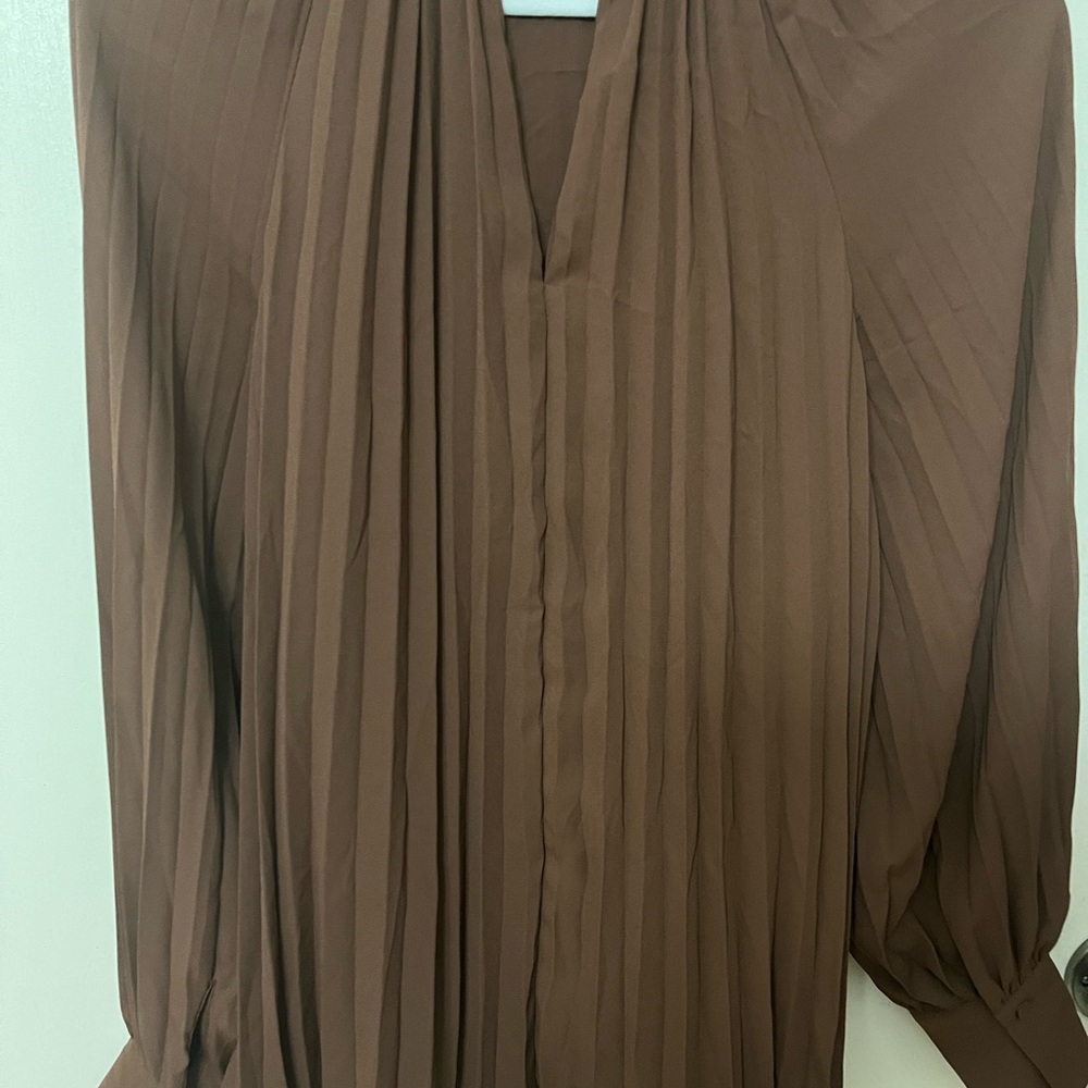 Brown Pleated Blouse